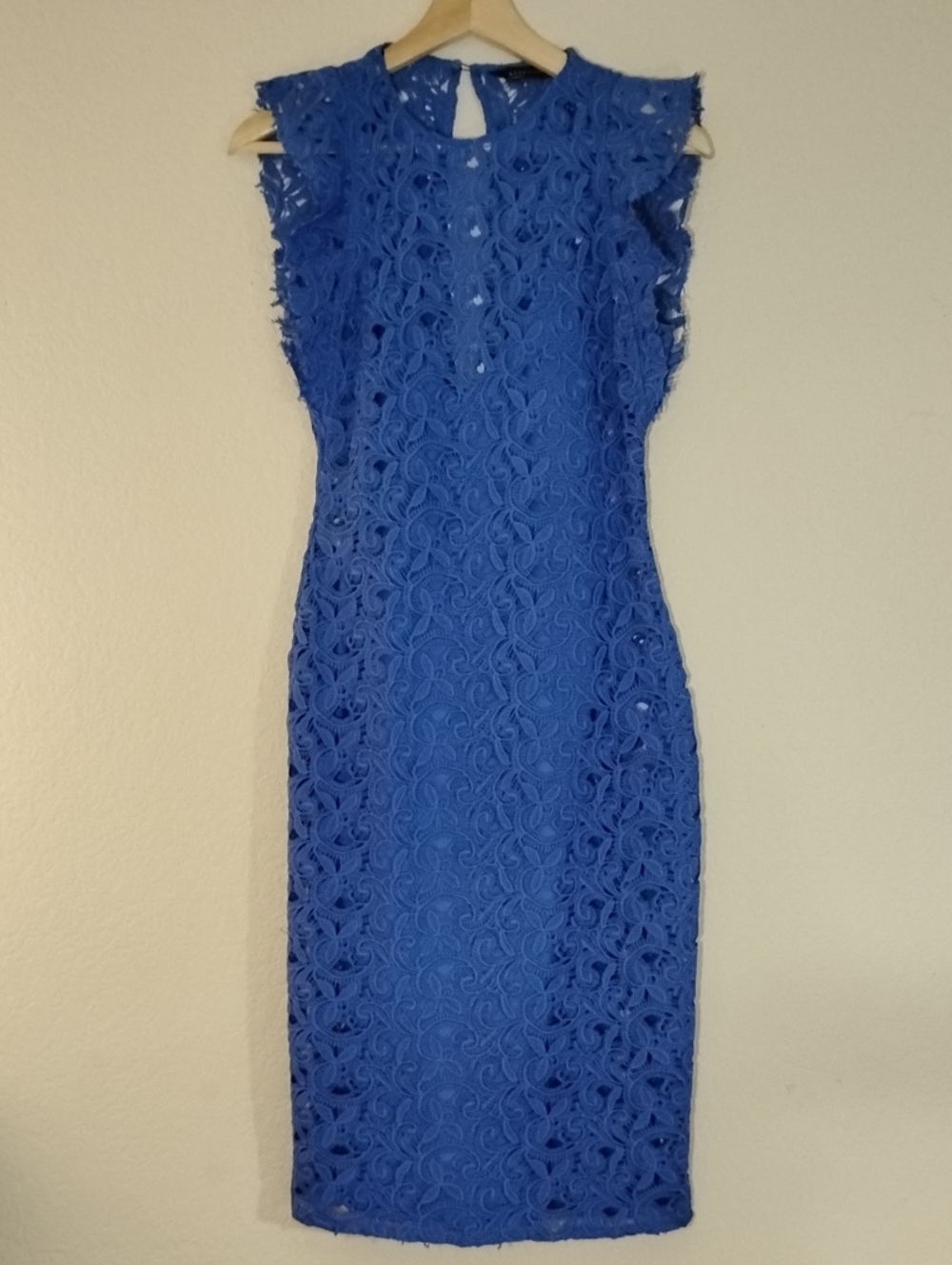Zara Romantic Cobalt Blue Lace Sheath Dress XS
